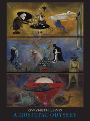 cover image of A Hospital Odyssey